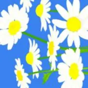 なあさ*の画像