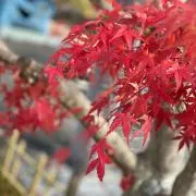 結(プロフ必読)の画像