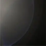 SKINGの画像
