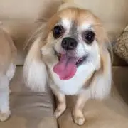 じーこの画像