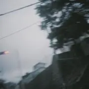りょの画像