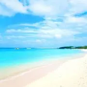 ☆SHINE☆の画像