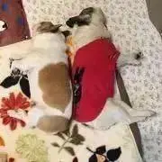 chill☆の画像