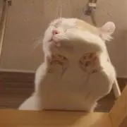 なの画像