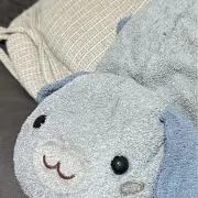 いぬぽん