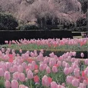 user.mの画像