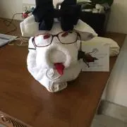 なおたんの画像