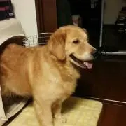 Kei。の画像