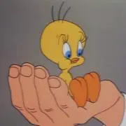 りの画像