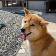 むつき※プロフ確認くださいの画像