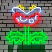 kinako♫の画像