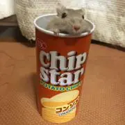 ジリス