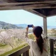 ひかりの画像