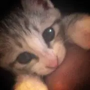 OKURAちゃんの画像