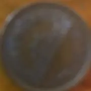 さげすまれいんきゃ