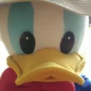 らぴゅらぴゅの画像