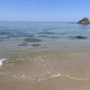 よしの画像