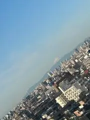 えなの画像