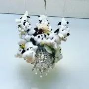 hnf
