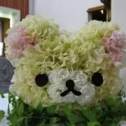 ハムマユ