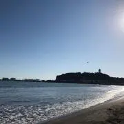 メダカ