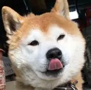 まっちゃん