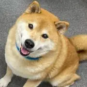迄出品月曜⭐︎ぱんぷきん