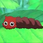 かいの画像