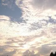 joの画像