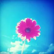 とむ ✽ 即購入OK⭕️