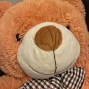 ひみこ☺︎24時間以内発送の画像