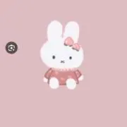 みーの画像