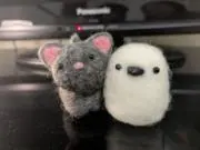 ひらぽちの画像
