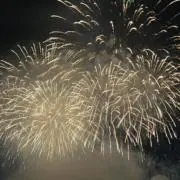 ユキの画像