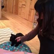 専用 兄妹 姉弟 つるし飾り 吊るし飾り 兜 花鞠 鞠 さるぼぼ ほおずき