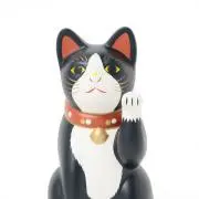 ゆっキーの画像