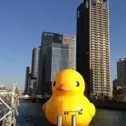 muybienの画像
