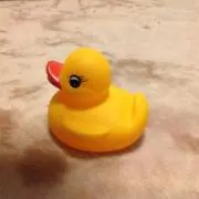 さくら