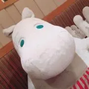 sugarの画像