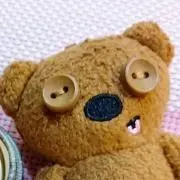 くまこの画像