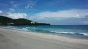 cocorinoの画像