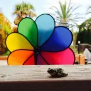 さちの画像