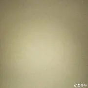 kalmaの画像