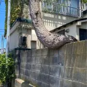 大学生のお小遣い稼ぎの画像