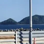 みの画像