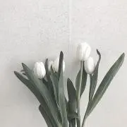 Hao 即購入⭕️の画像