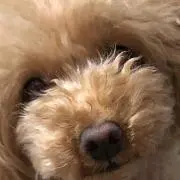 KEiCO