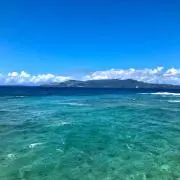 imadonの画像