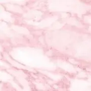 Tの画像