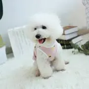 しゅ